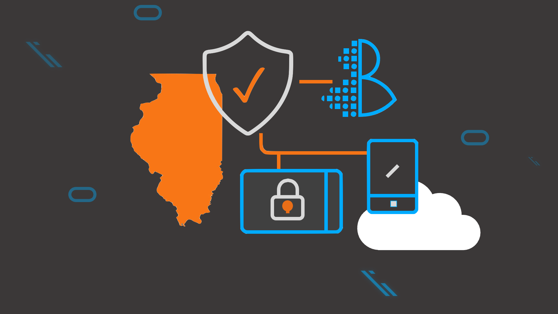 Illinois Privacy Compliance: What Every Business Owner Needs to Know